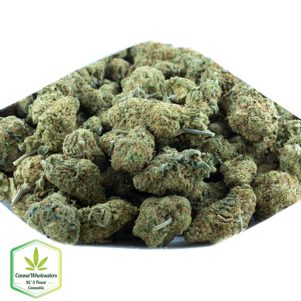 Acapulco Gold