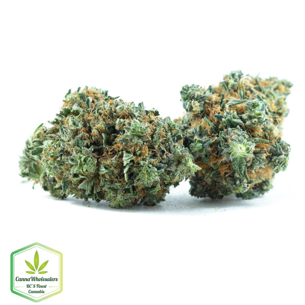 Jedi Kush