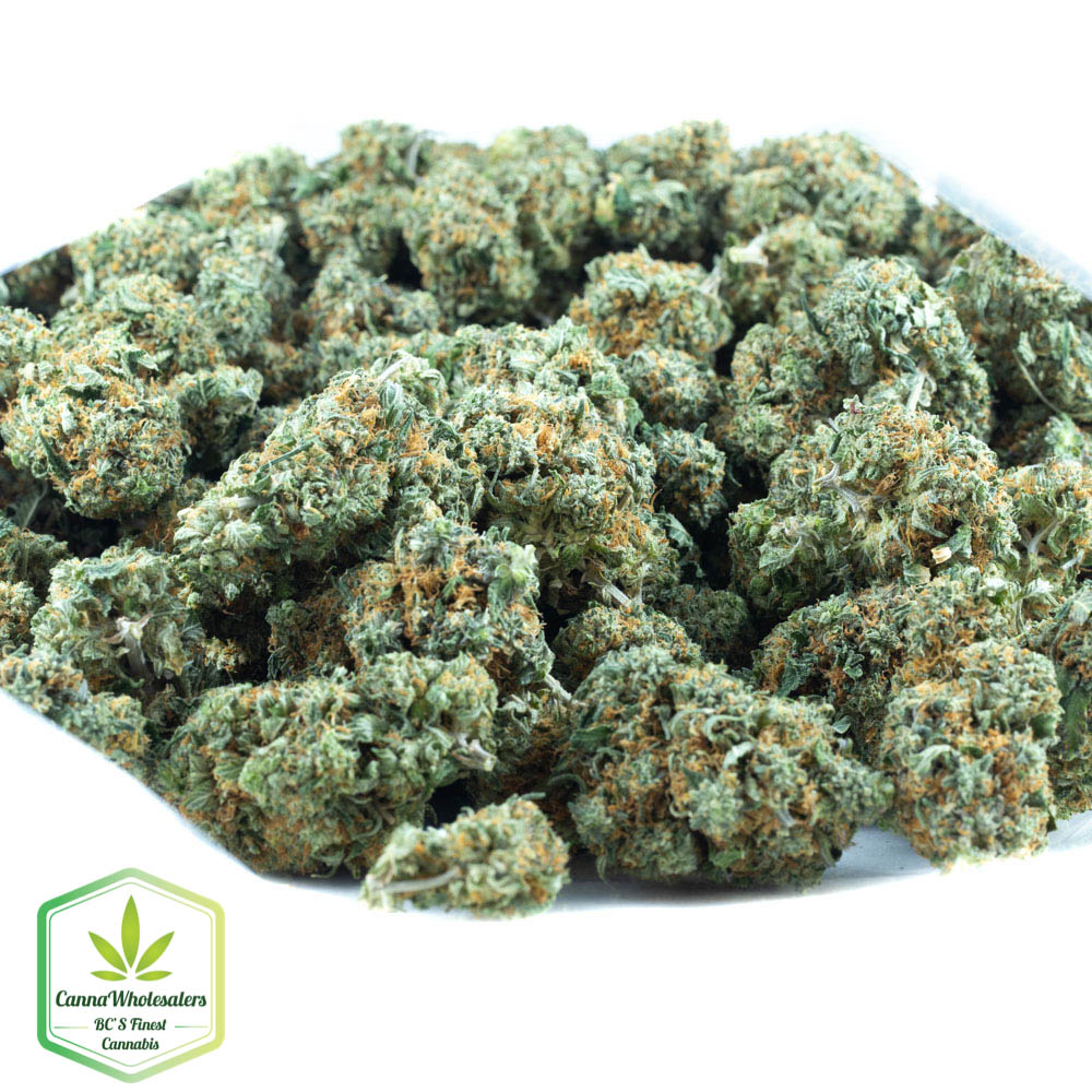 Jedi Kush