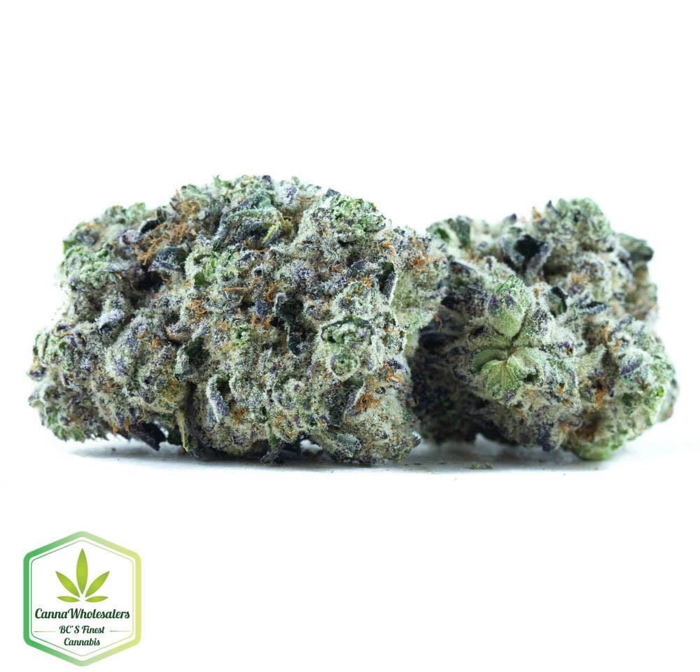 Budget Oz – Jungle Cake
