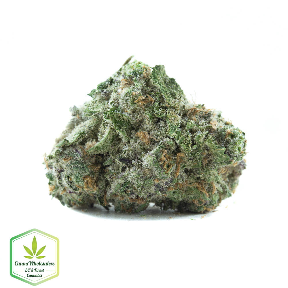 Gorilla Cookies