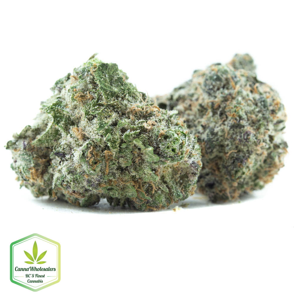 Gorilla Cookies – Budget Ounce