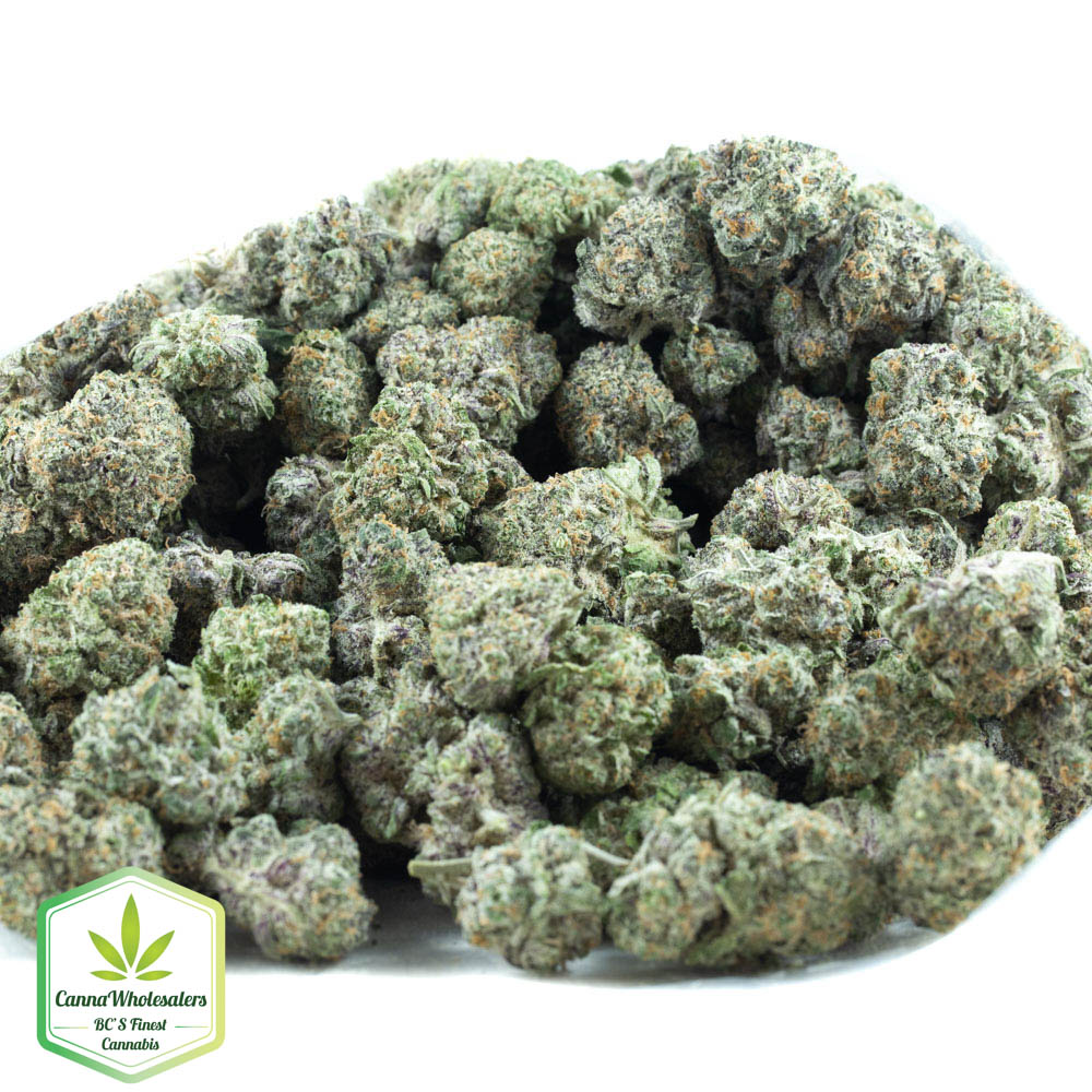 Gorilla Cookies