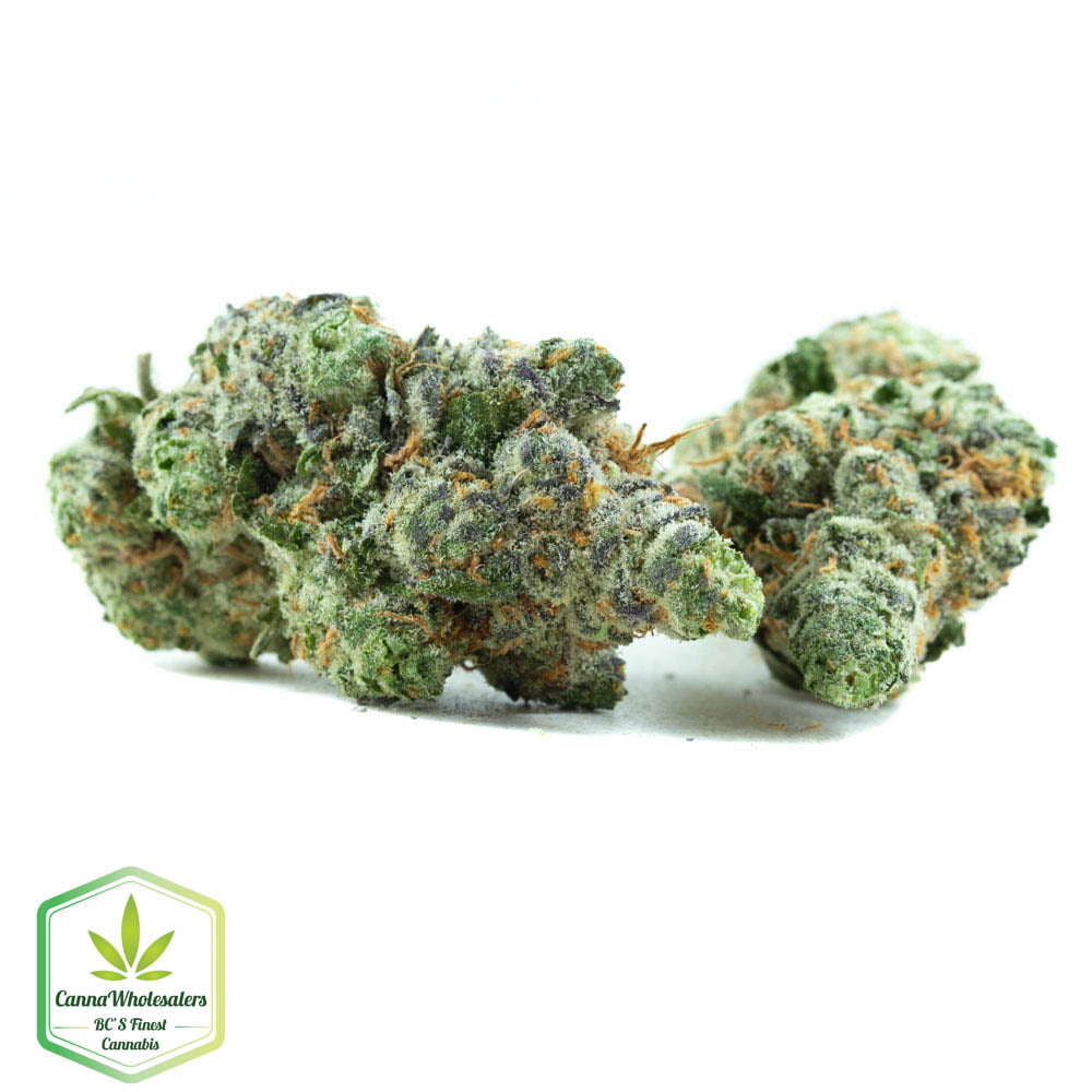 Budget Oz – Sweet Cheese