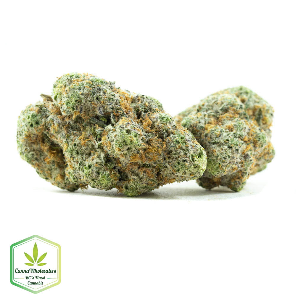 Waffle Cone – Craft Gardens – Budget Ounce