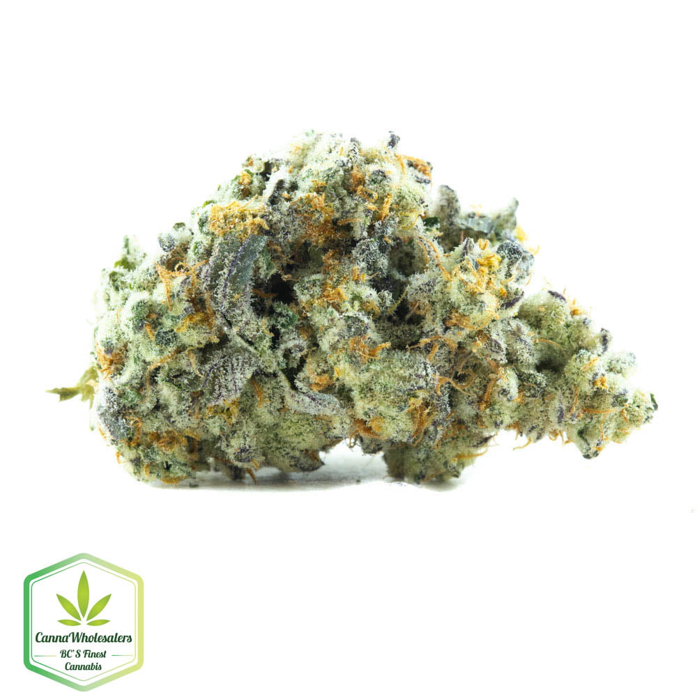SPK – Sour Patch Kids