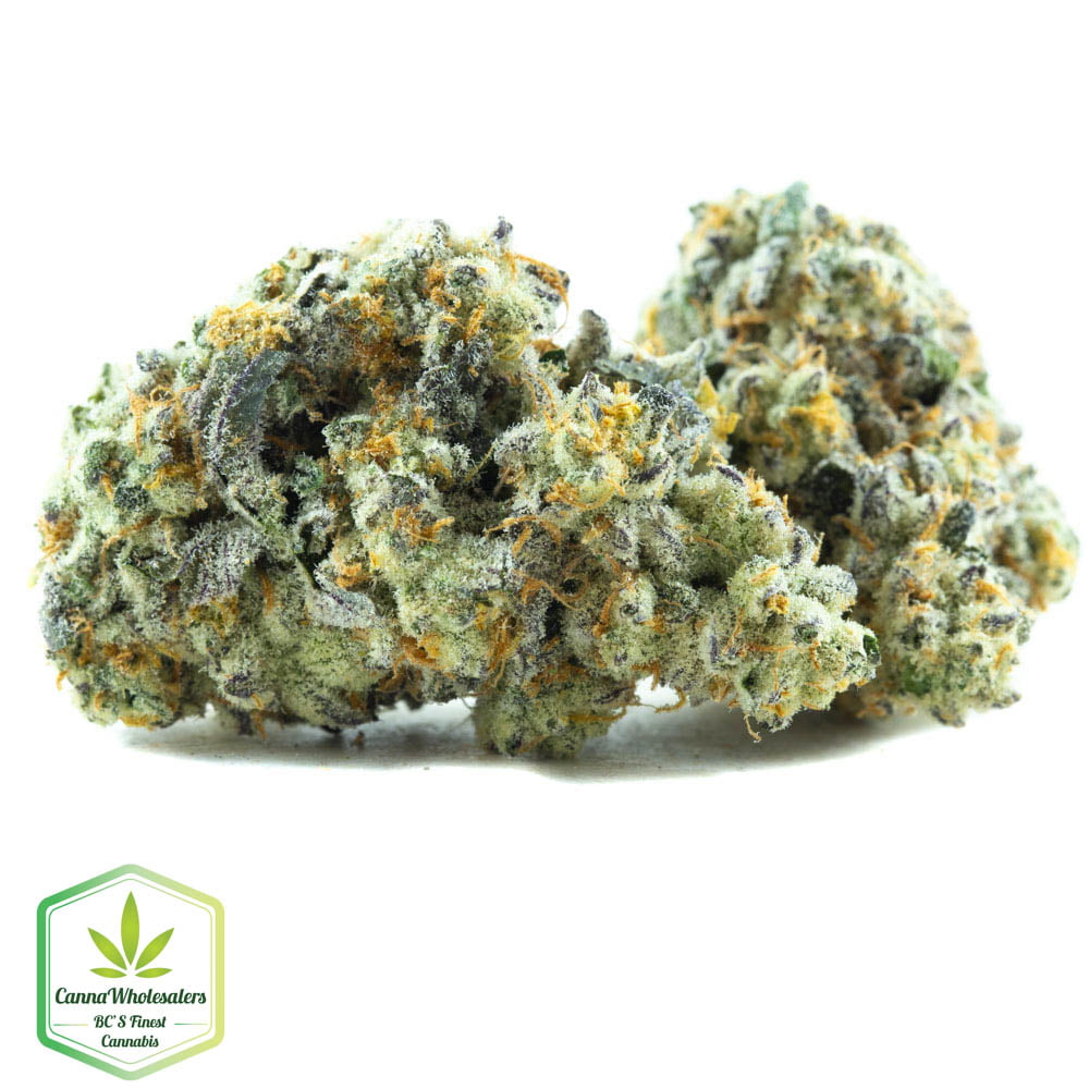 Budget Oz – SPK – Sour Patch Kids