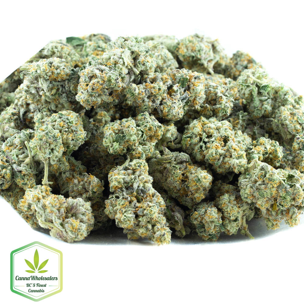 SPK – Sour Patch Kids