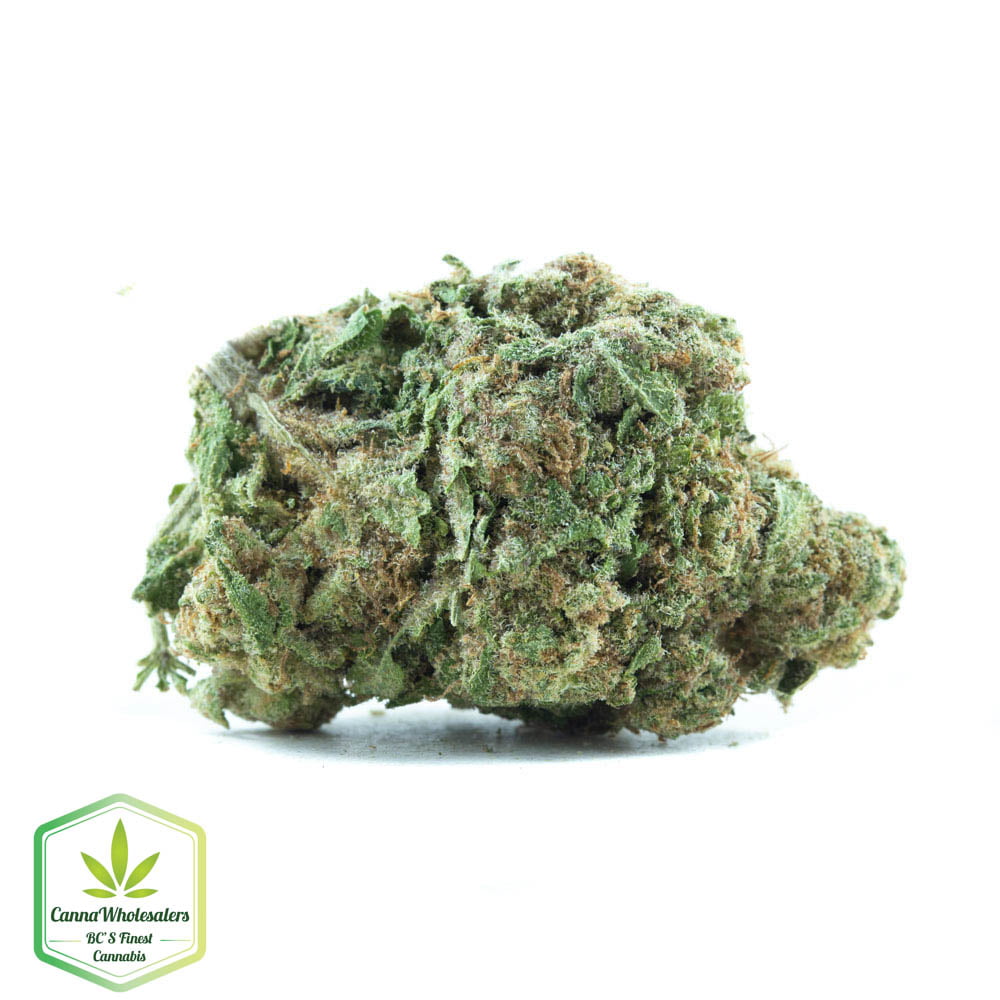 White Kush