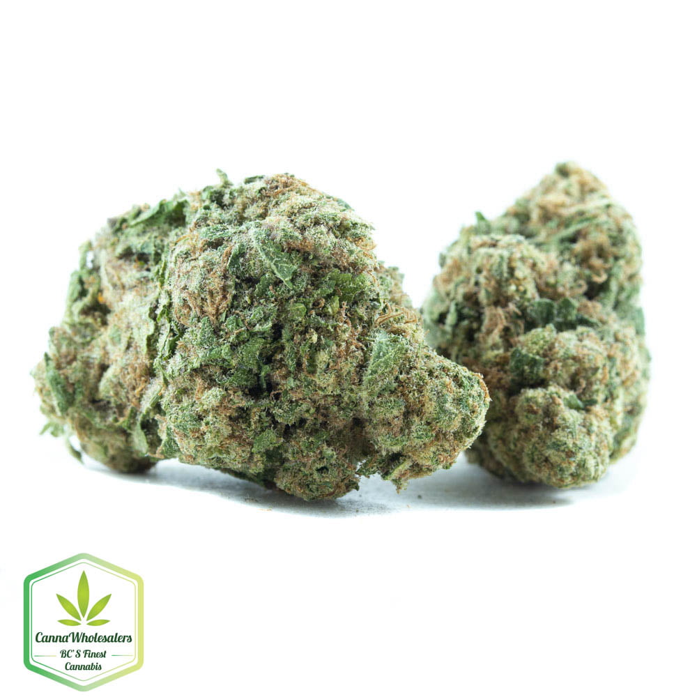 White Kush