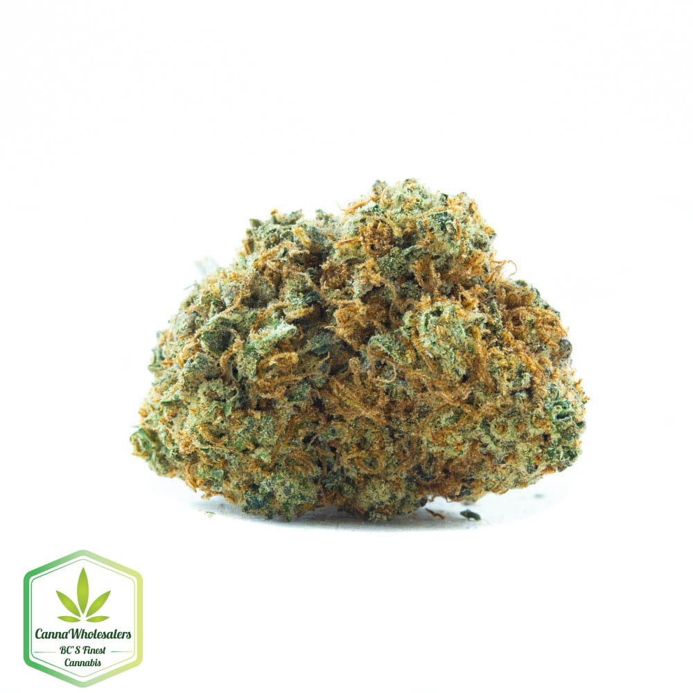 Critical Mass