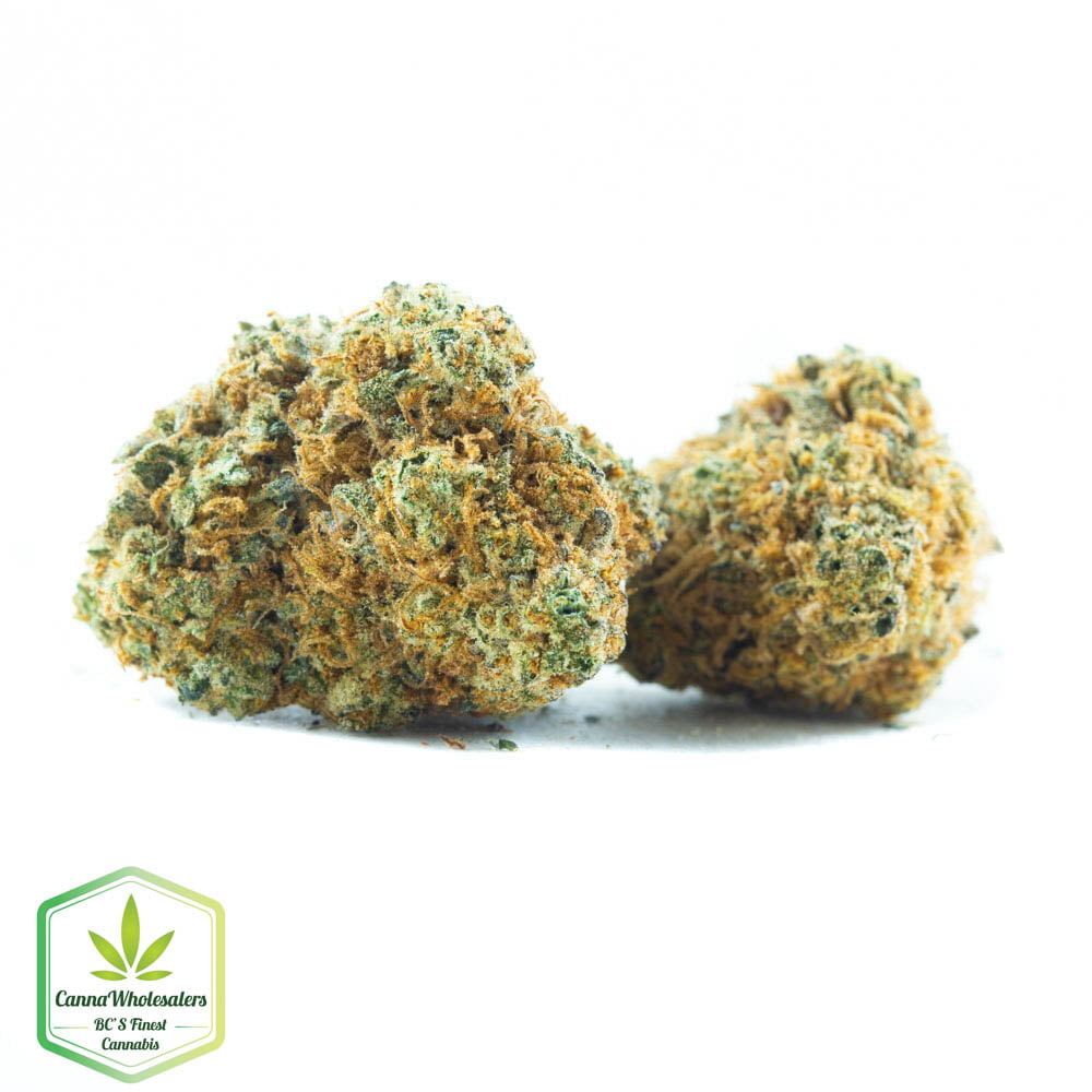 Critical Mass