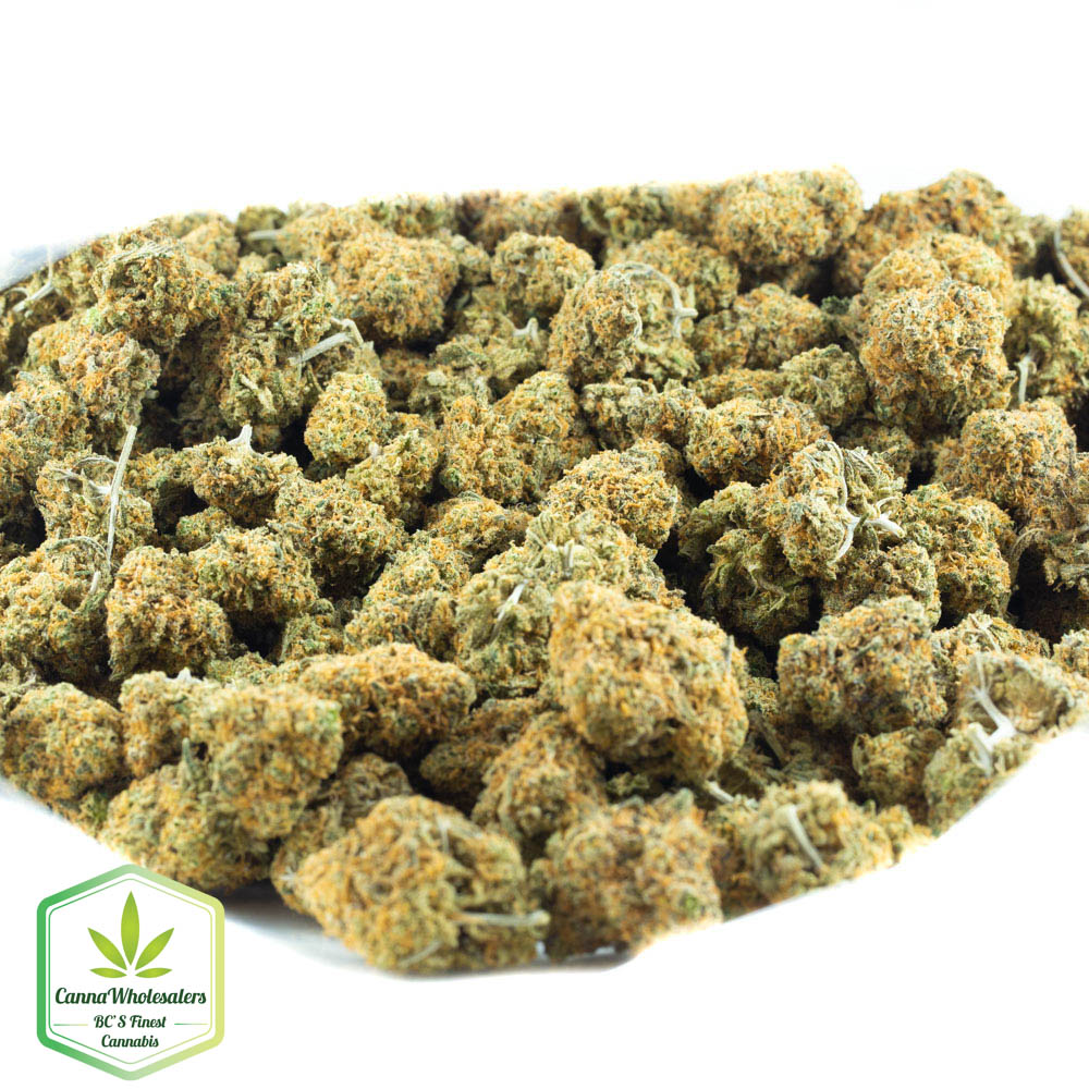 Critical Mass