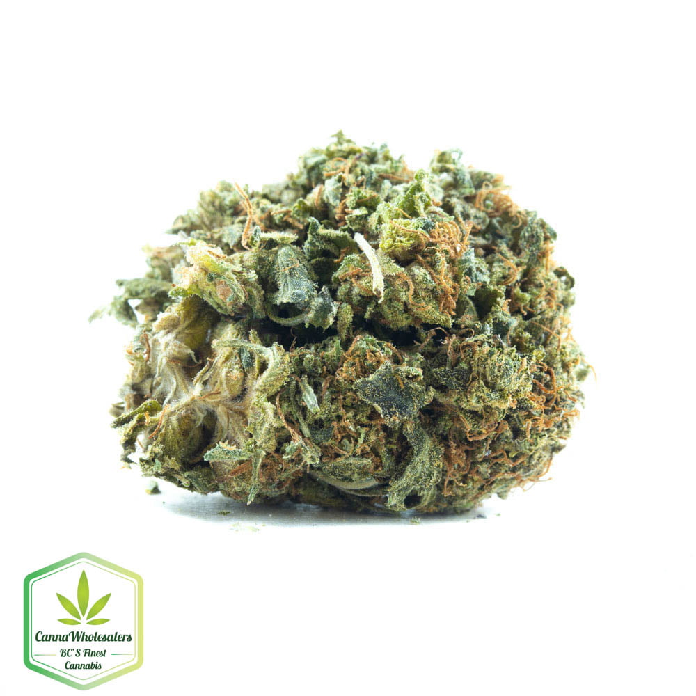 Walter White OG