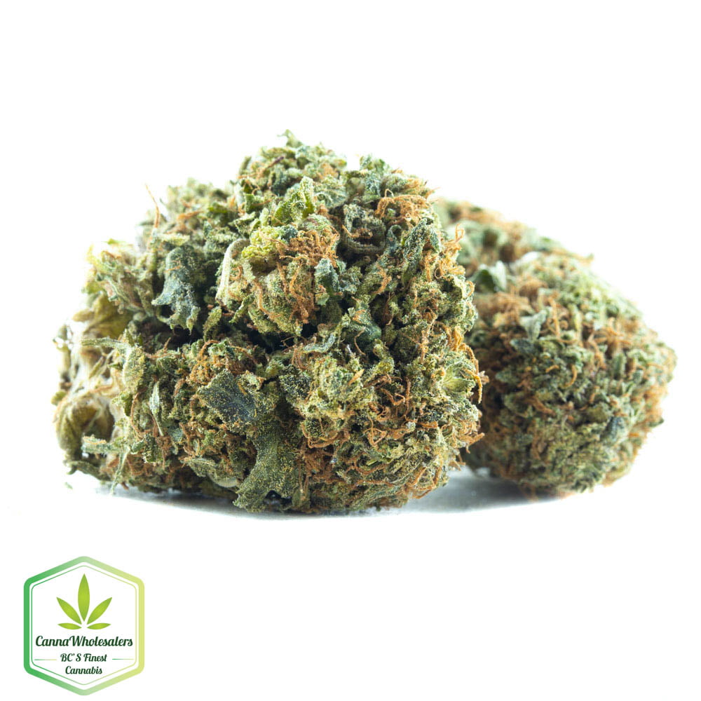 Walter White OG