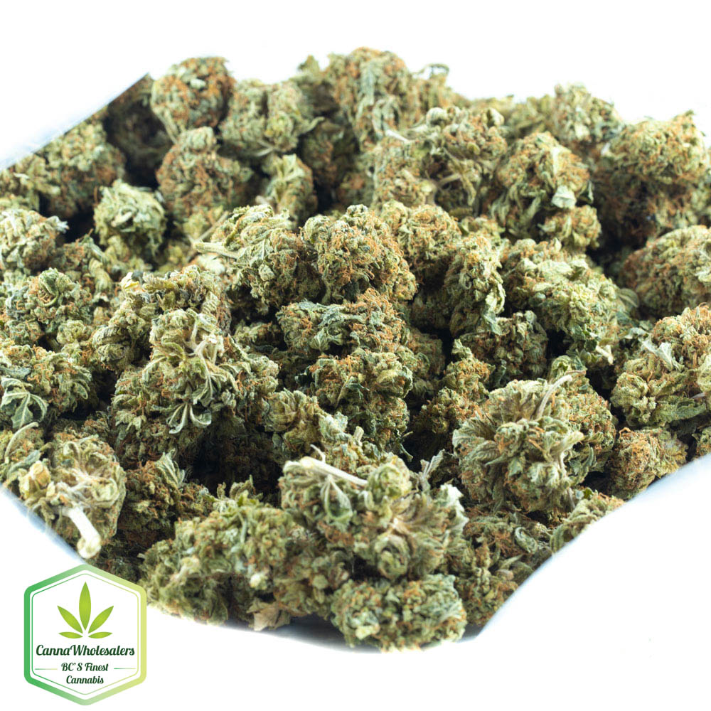 Walter White OG