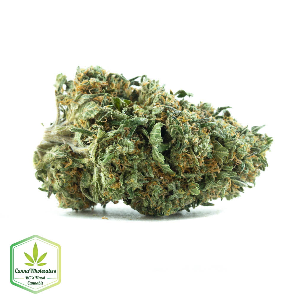 Critical Kush