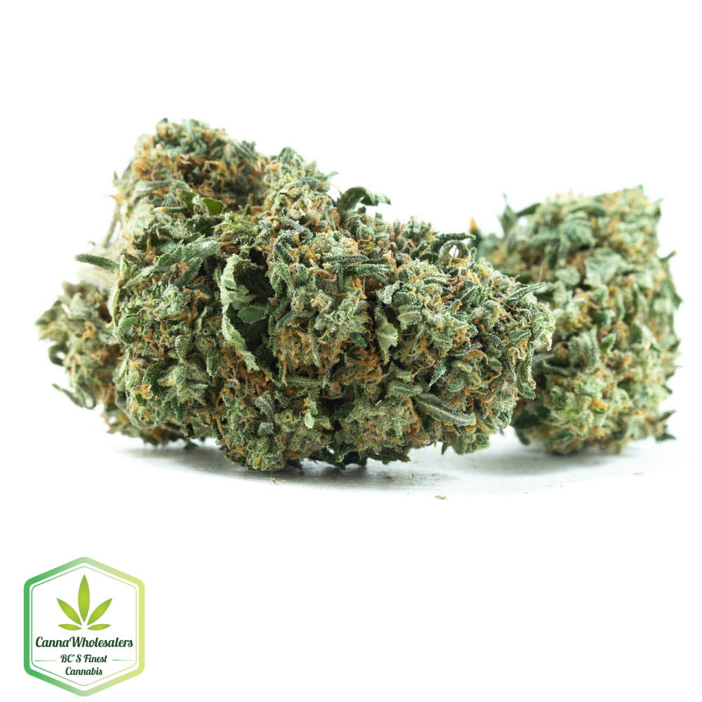 Budget Oz – Critical Kush