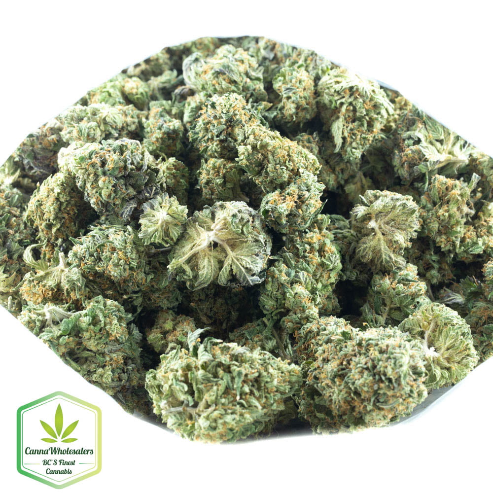 Critical Kush