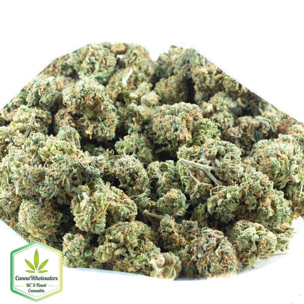 G-13