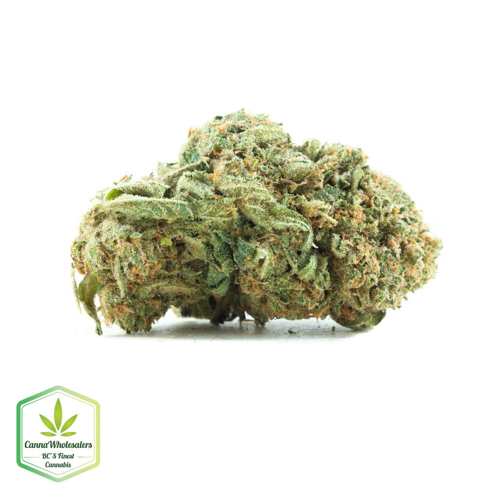 Silver Kush