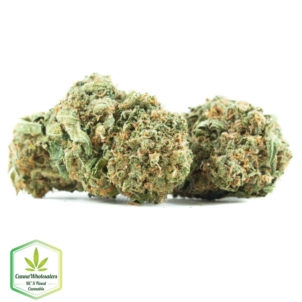 Silver Kush