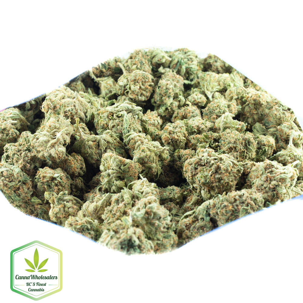 Silver Kush