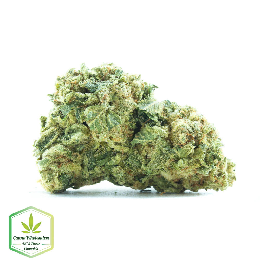 Hashplant Haze