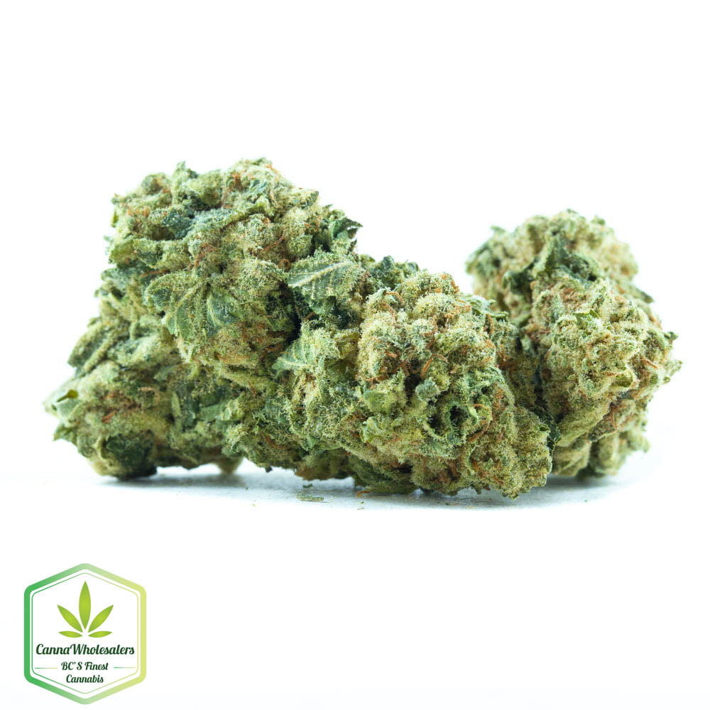 Hashplant Haze