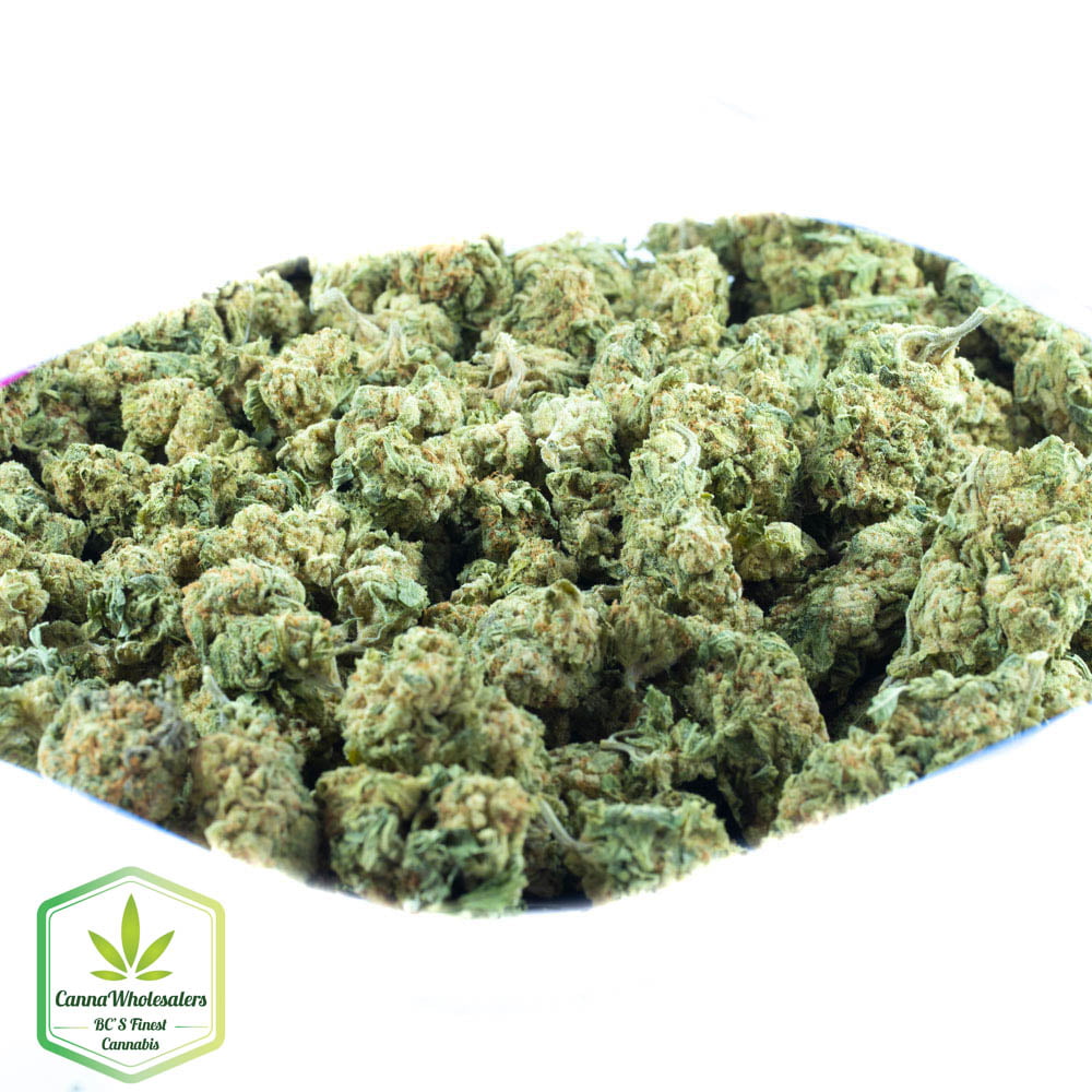 Hashplant Haze