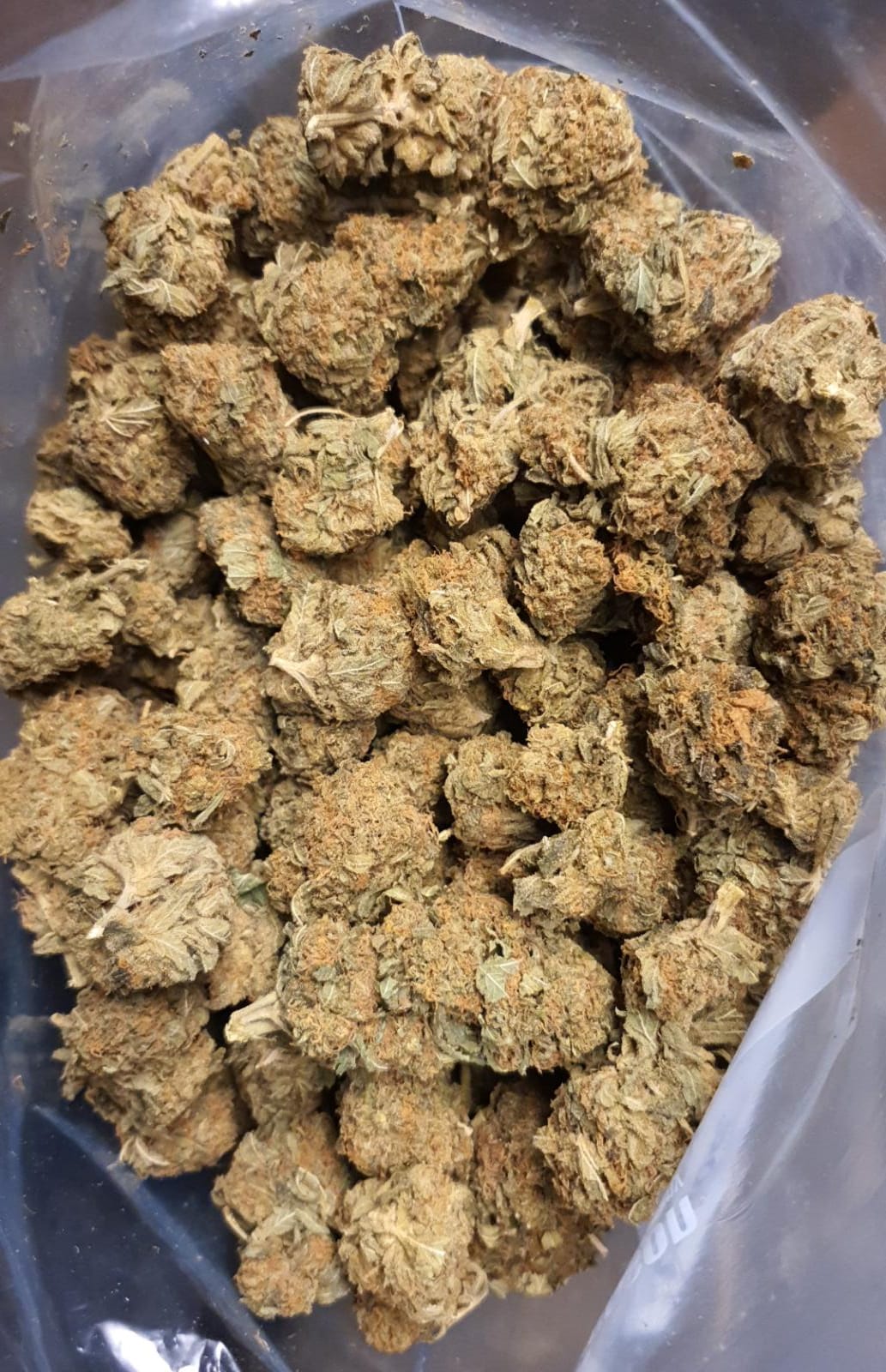 Purple Berry