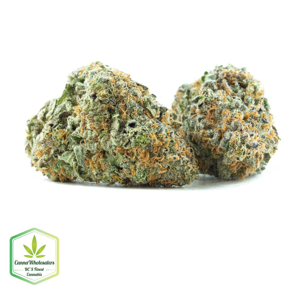 MK Ultra