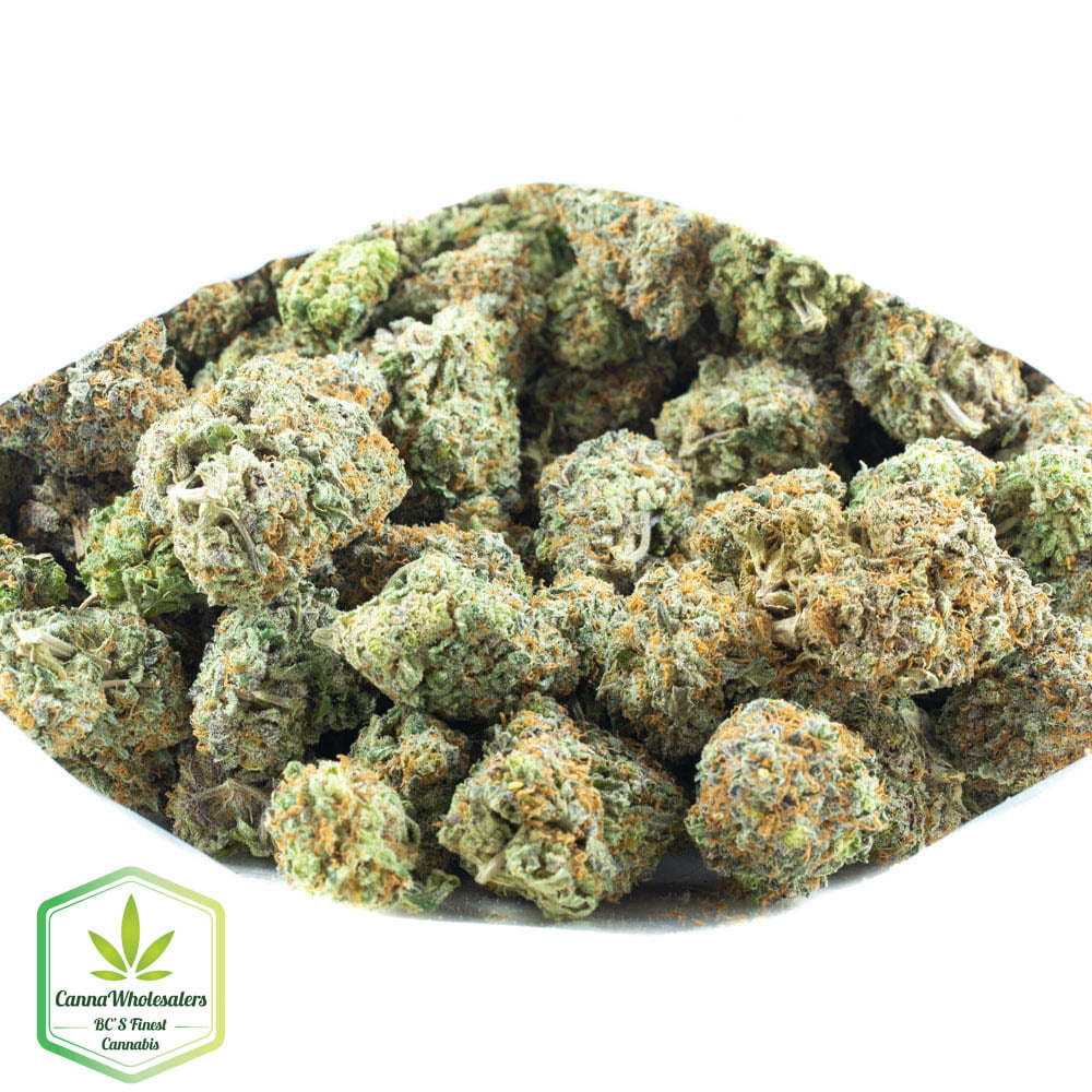 MK Ultra