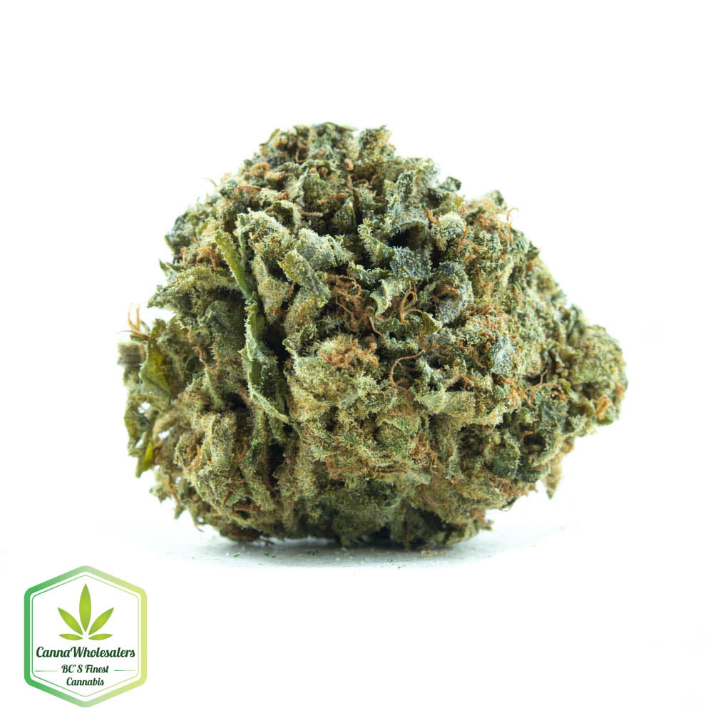 Purple Thai