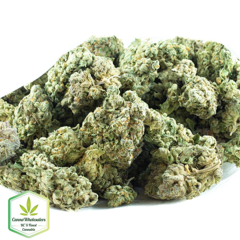 Vanilla Kush