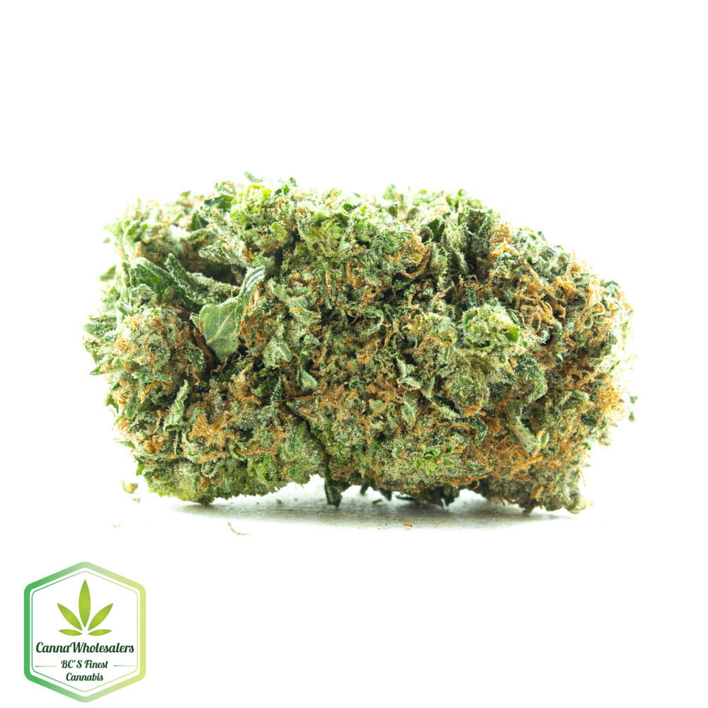 Star Master Kush