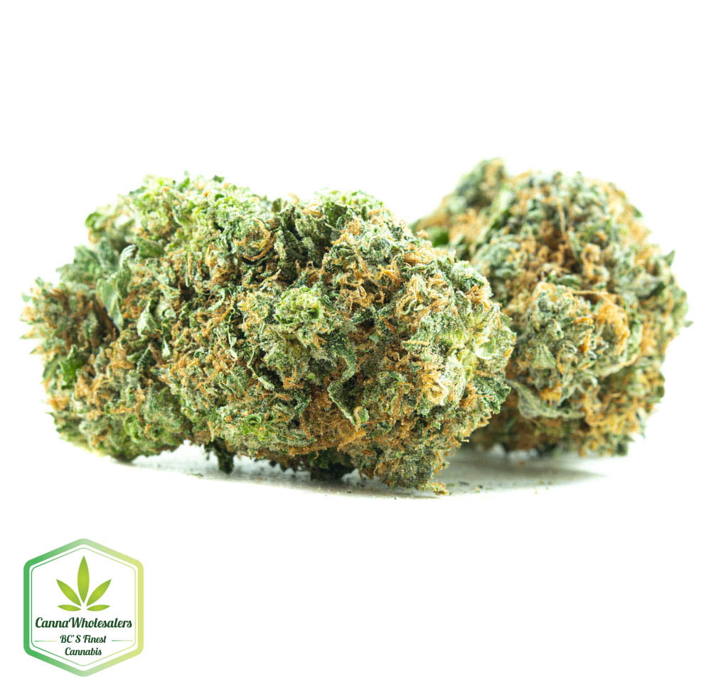 Star Master Kush