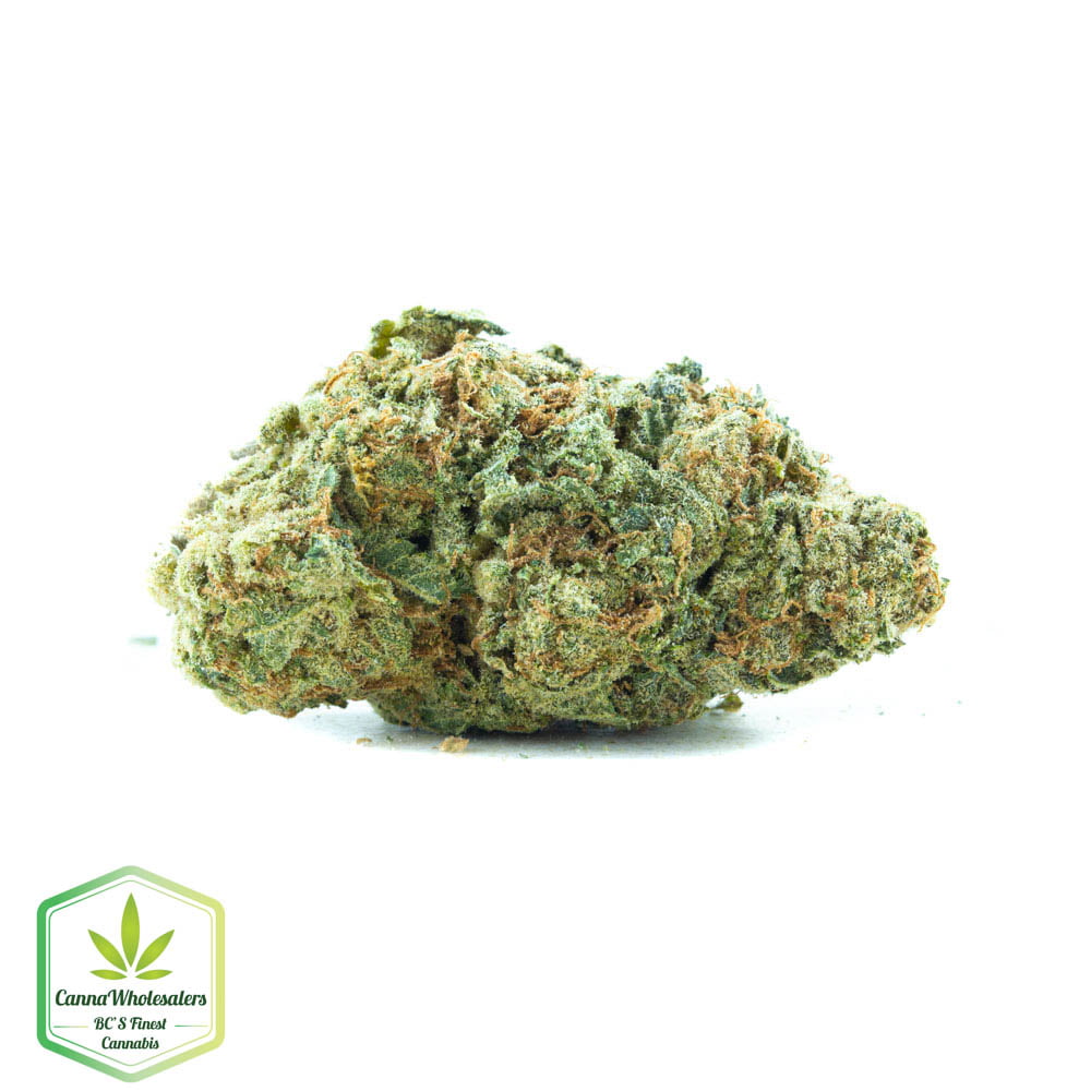 Zeus OG
