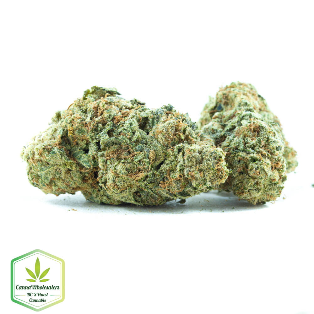 Zeus OG