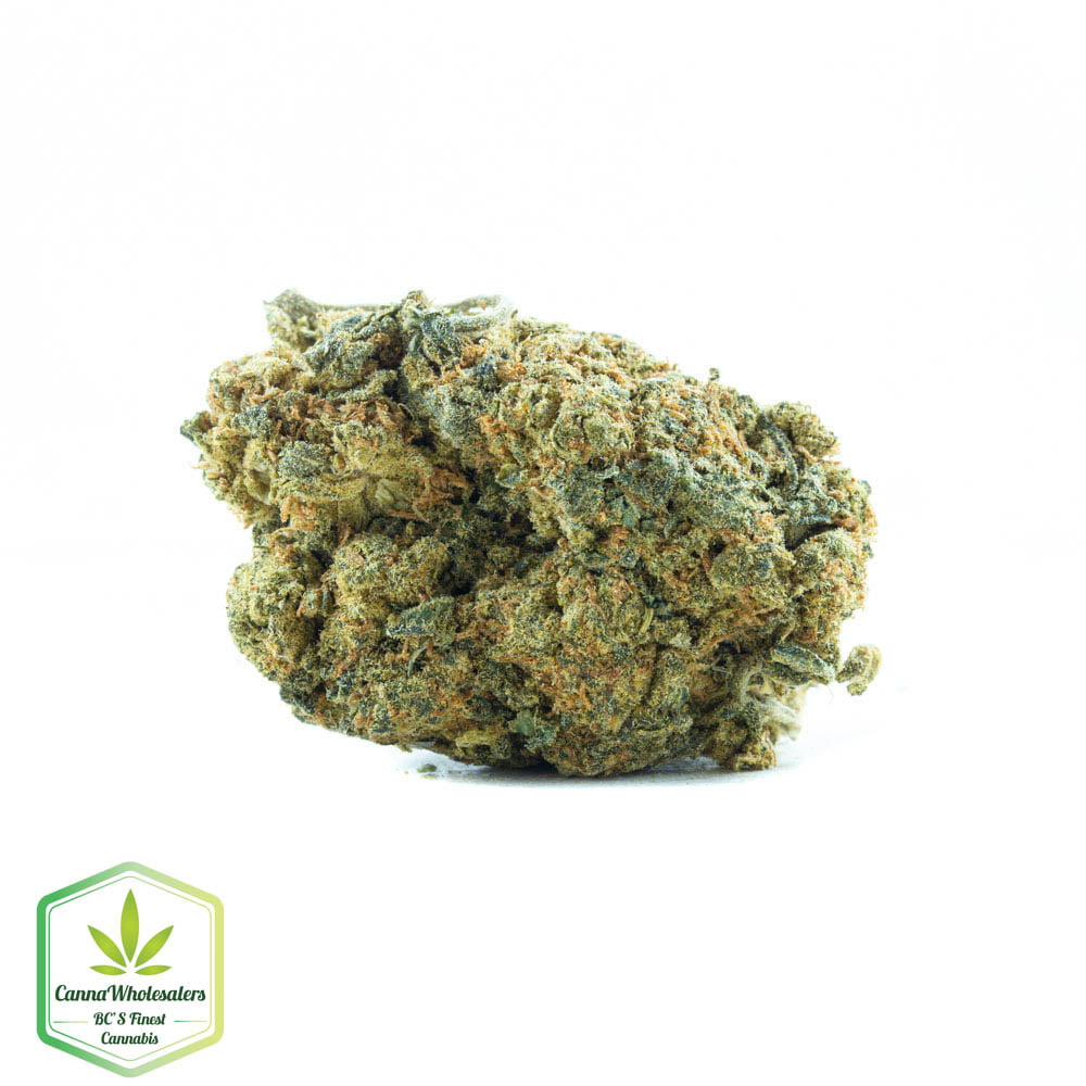 Afghani