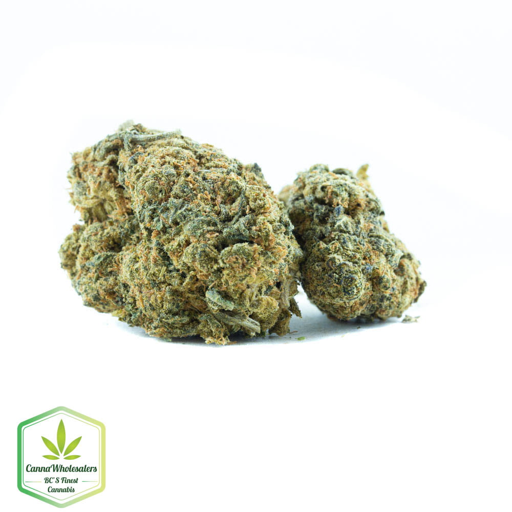 Afghani