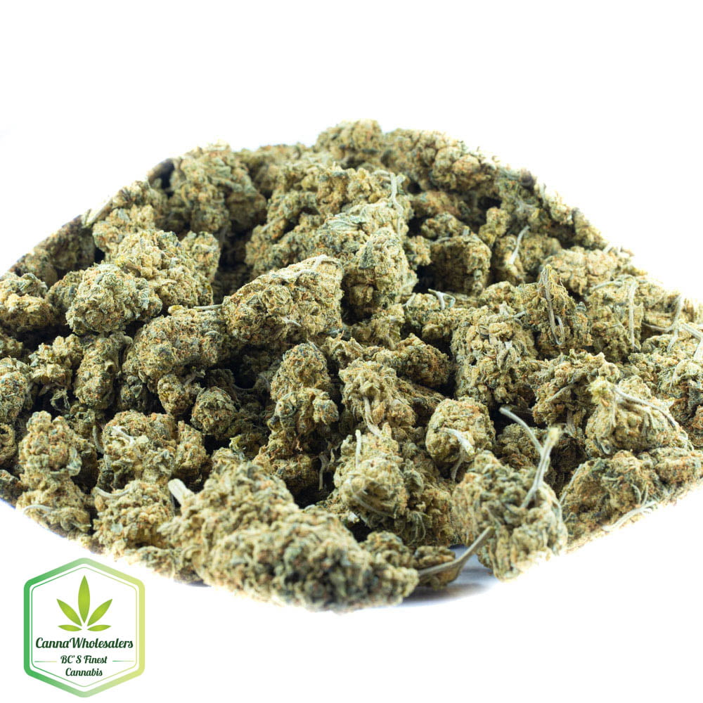 Afghani