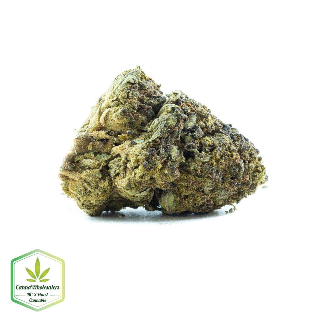 Hashplant