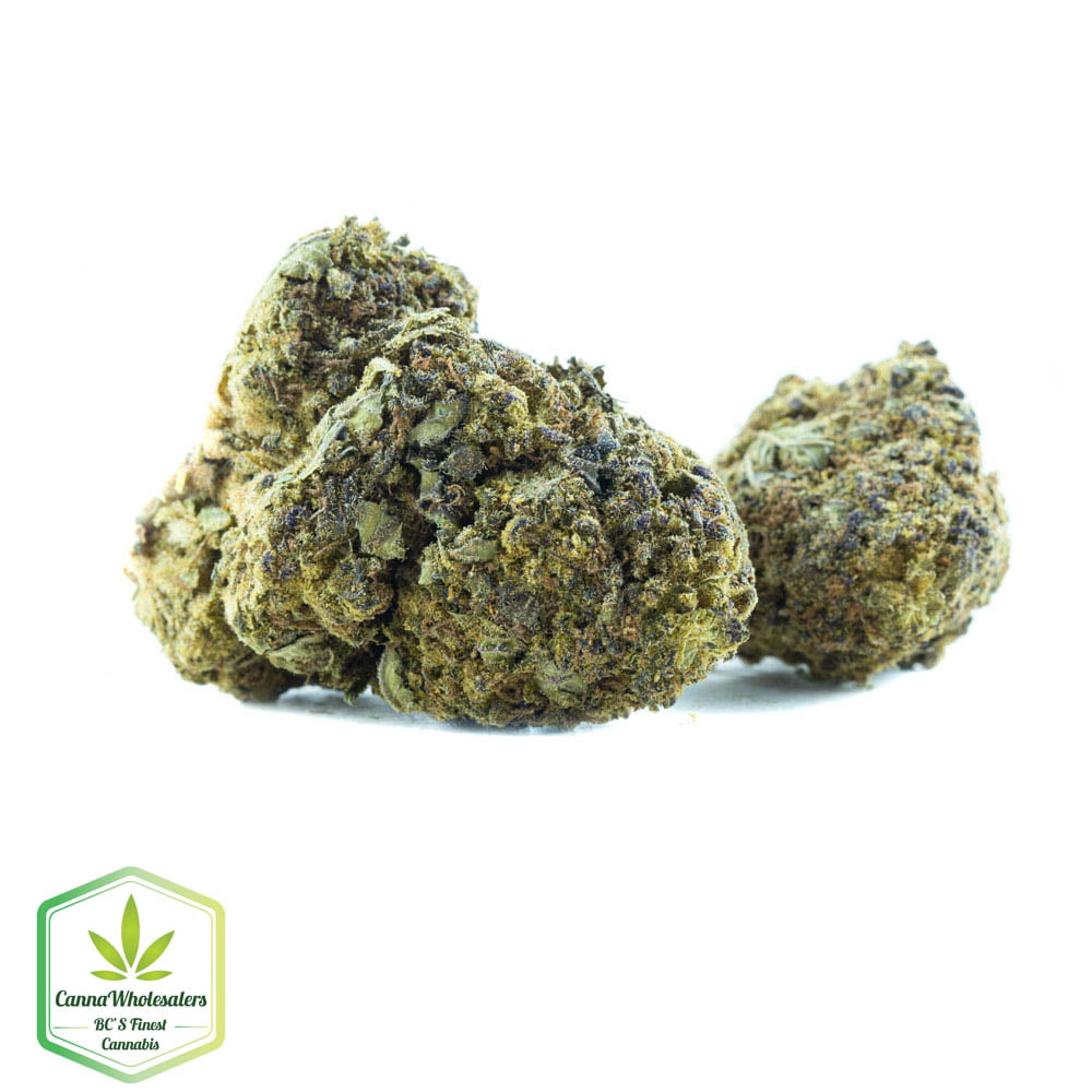 Budget Oz – Hashplant