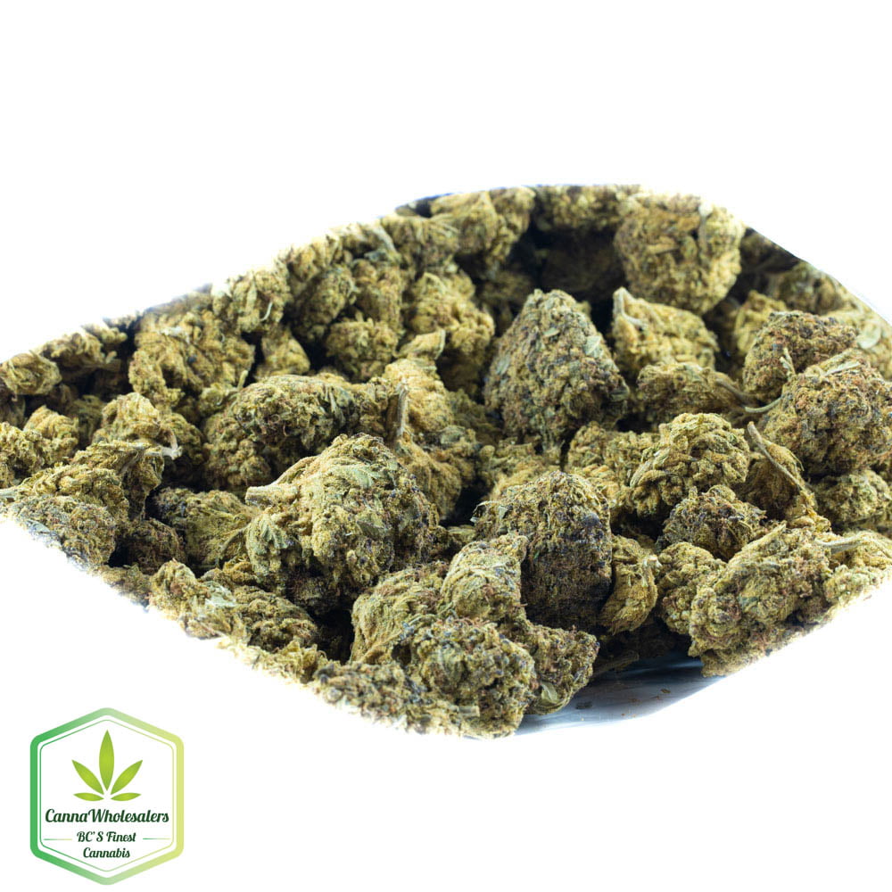 Hashplant
