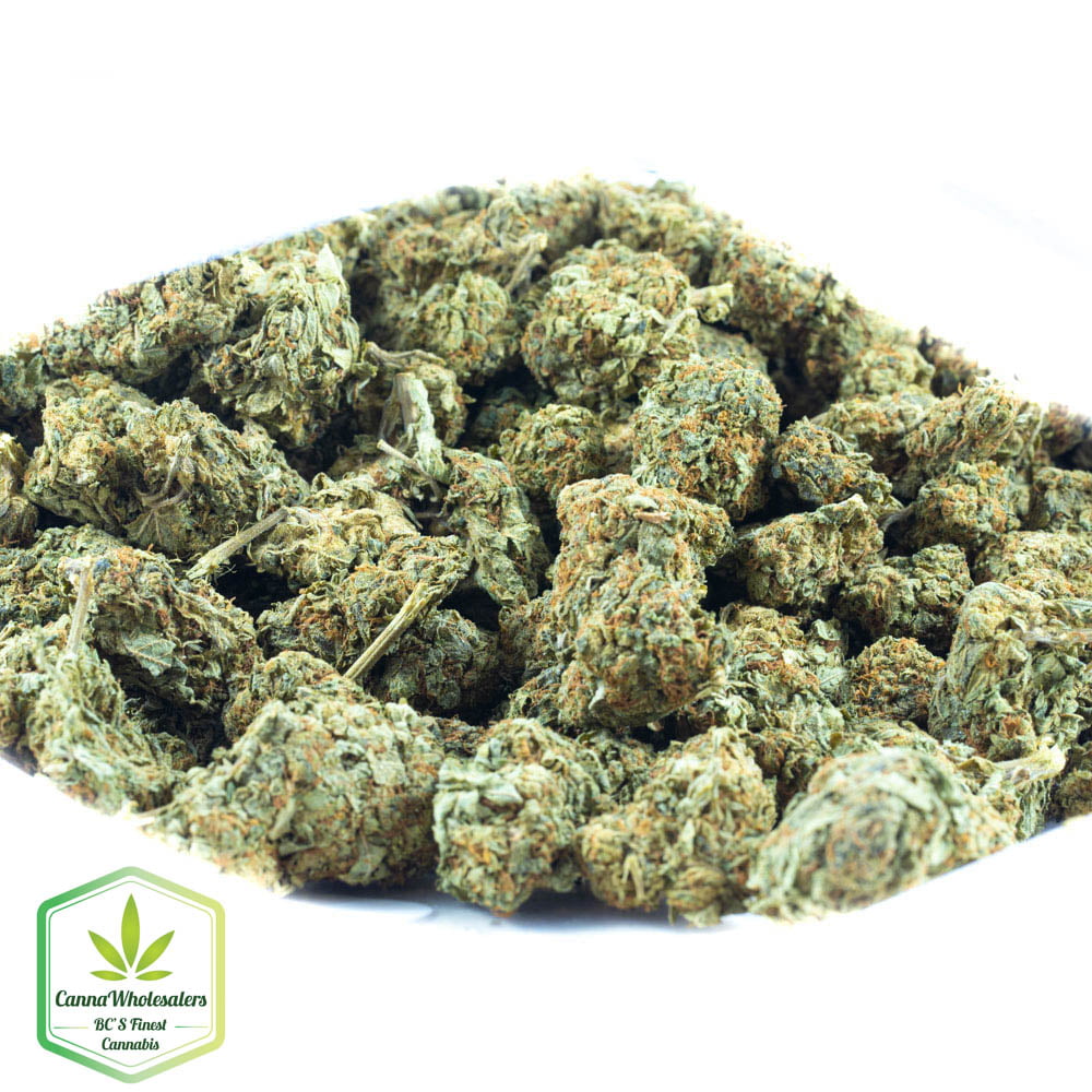 Select Hybrid