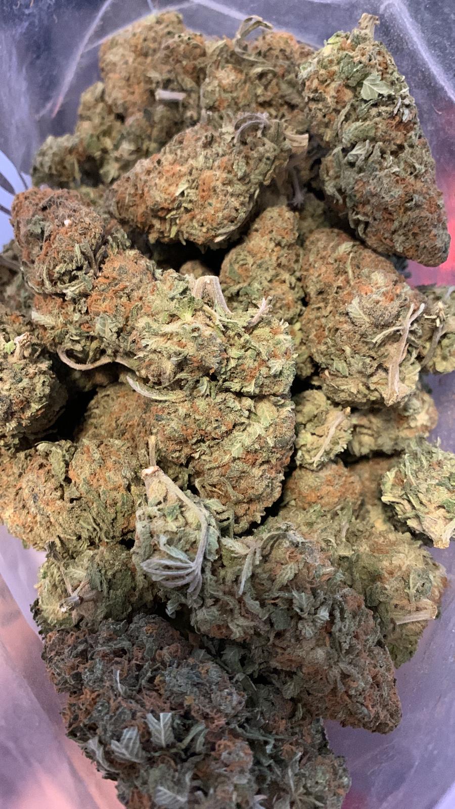 GG1