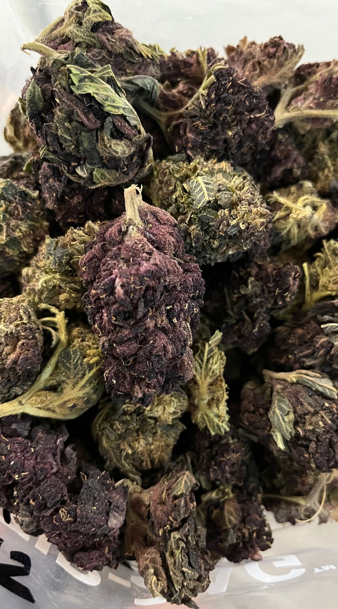 Blue Hawaiian