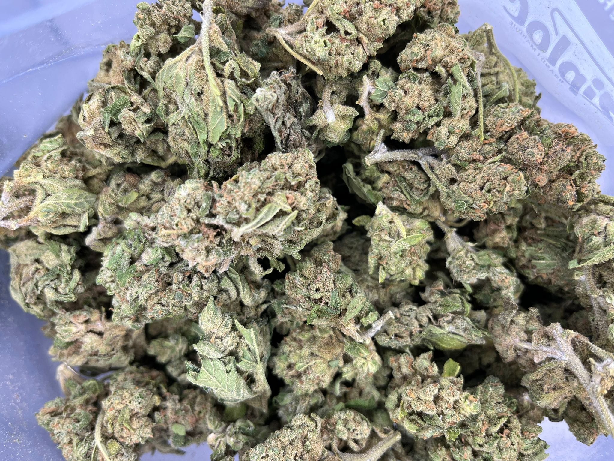Gorilla Grips