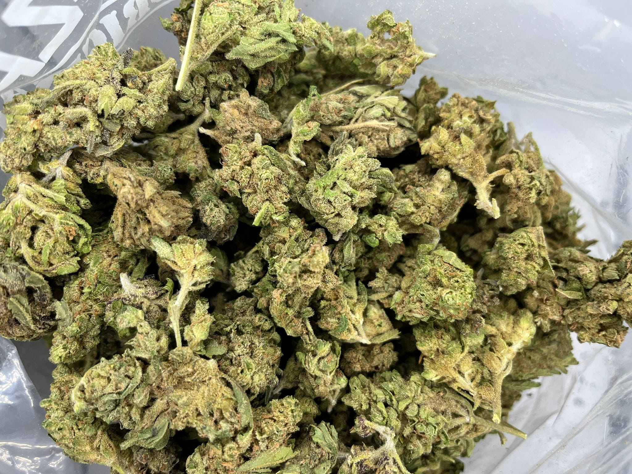 Budget Oz – KC 33